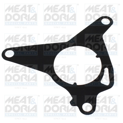 Gasket, vacuum pump